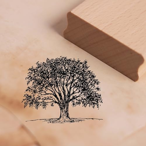 Dekolando Motivstempel Buche - Stempel Baum Natur Holzstempel Scrapbooking Stempeln - Abdruck 58 x 48 mm von Dekolando