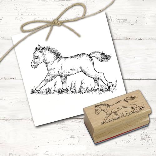 Dekolando Motivstempel Kleines Pony auf der Wiese - Stempel Holzstempel - Abdruck 48 x 28 mm von Dekolando