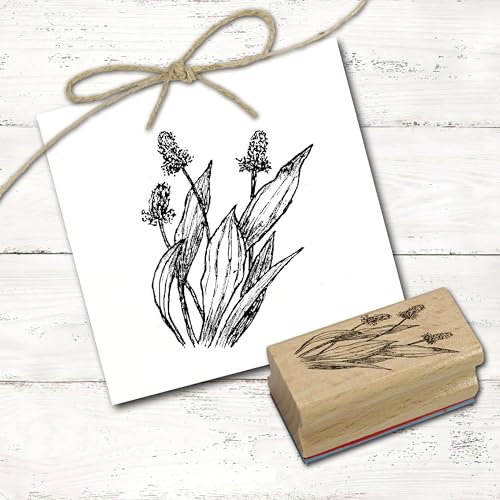 Dekolando Motivstempel Spitzwegerich - Stempel Pflanze Natur Holzstempel - Abdruck 38 x 48 mm von Dekolando