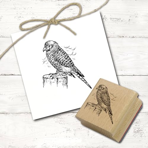 Dekolando Motivstempel Turmfalke auf Stamm - Stempel Falke Greifvogel Holzstempel - Abdruck 48 x 48 mm von Dekolando