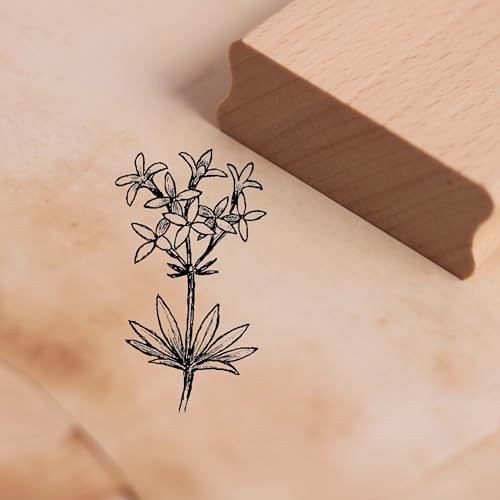 Dekolando Motivstempel Waldmeister - Stempel Maikraut Pflanze Holzstempel Scrapbooking - Abdruck 28 x 48 mm Dekolando Motivstempel Waldmeister - Stempel Maikraut Pflanze Holzstempel Scrapbooking - Abdruck 28 x 48 mm von DEKOLANDO