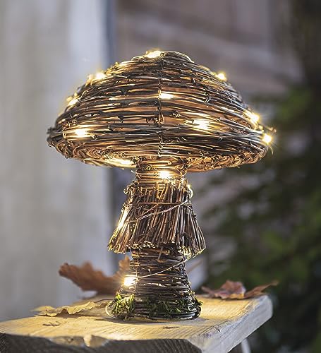 Dekoleidenschaft LED Dekofigur Pilz Rustic aus Weide, integrierte Lichterkette mit 30 warm-weiß LEDs, 23 cm hoch, Herbstdeko, Leuchtdeko Dekoleidenschaft LED Dekofigur Pilz Rustic aus Weide, integrierte Lichterkette mit 30 warm-weiß LEDs, 23 cm hoch, Herbstdeko, Leuchtdeko von Dekoleidenschaft