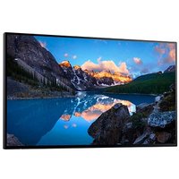 DELL U2424H -ohne Standfuß- Monitor 61,0 cm (24,0 Zoll) schwarz von Dell