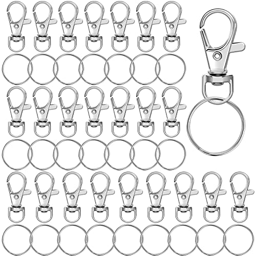 Demarsen 30 Set Schlüsselanhänger Schlüsselring mit Karabiner Schlüsselringe für Lanyards Ornamente Schlüsselringe DIY-Kunsthandwerk von Demarsen