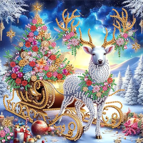5D Diamond Painting Weihnachten Set, Teilweise Diamant Painting Bilder Weihnachten Kit, DIY Teilbohrer Diamant Malerei Weihnachtsdeko Malen nach Zahlen 30x30cm (21) von Demiawaking