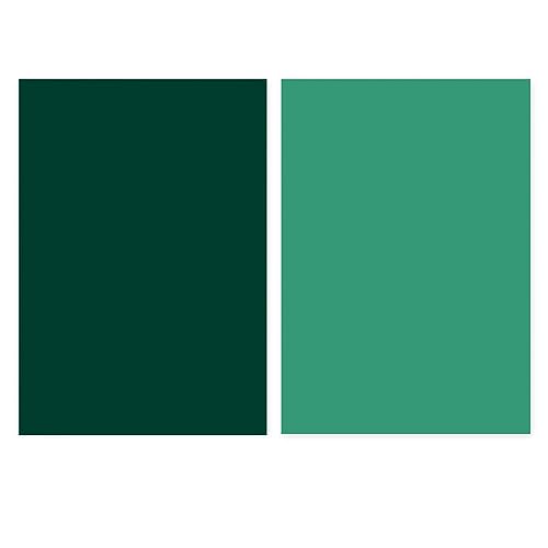 Denash Morandi Fotografie Hintergrundpapier Verdickte Leuchtende Farben für Heimstudio Wiederverwendbar für Fotografie -Enthusiasten (Dunkelgrünes Smaragdgrün) von Denash