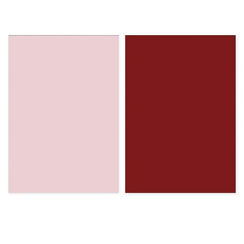 Denash Morandi Fotografie Hintergrundpapier Verdickte Leuchtende Farben für Heimstudio Wiederverwendbar für Fotografie -Enthusiasten (Hellrosa Dunkelrot) von Denash