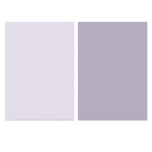 Denash Morandi Fotografie Hintergrundpapier Verdickte Leuchtende Farben für Heimstudio Wiederverwendbar für Fotografie -Enthusiasten (PURPLE) von Denash