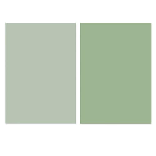 Denash Morandi Fotografie Hintergrundpapier Verdickte Leuchtende Farben für Heimstudio Wiederverwendbar für Fotografie -Enthusiasten (hellgrün) von Denash