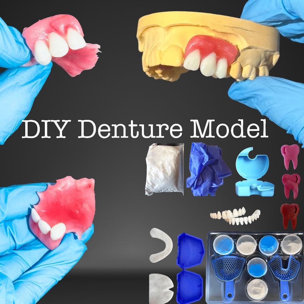 Craft Your Model, Learn Model, Dental Fix Kit, Diy Denture Show Model Prothesis Zahnprothese Zahnersatz Schaumodell Craft Your Model, Learn Model, Dental Fix Kit, Diy Denture Show Model Prothesis Zahnprothese Zahnersatz Schaumodell von DentalMental