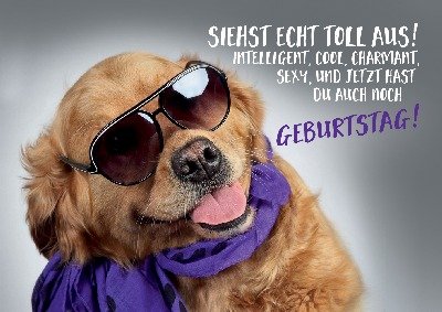 Depesche 3D Foto Medi Klappkarte 010 mit Motiv Hund von Depesche