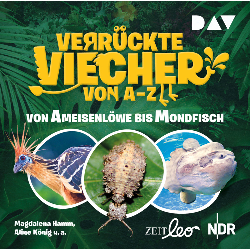 Verrückte Viecher Von A Bis Z - Von Ameisenlöwe Bis Mondfisch,1 Audio-Cd - Magdalena Hamm, Aline König (Hörbuch) von Der Audio Verlag, DAV