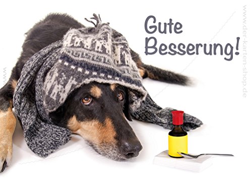 3 Stück Doppelkarte, Karte mit Kuvert kranker Hund mit Mütze, Schal und Medizin "Gute Besserung!" von Der-Karten-Shop.de
