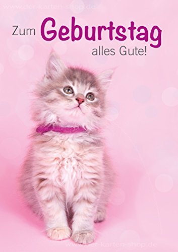 3 Stück Doppelkarte Geburtstagskarte Glückwunschkarte Karte mit Kuvert kleine Katze Babykatze "Zum Geburtstag alles Gute!" von Der-Karten-Shop.de