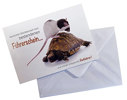 3 Stück Doppelkarte Glückwunschkarte Karte mit Kuvert zum Führerschein Schildkröte mit Ratte "Herzlichen Glückwunsch zum bestandenen Führerschein und immer entspannte Beifahrer!" von Der-Karten-Shop.de