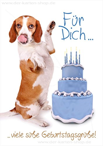 3 Stück Doppelkarte mit Kuvert, Karte, Grußkarte, Geburtstagskarte Beagle Hund mit Geburtstagstorte, "Für Dich... viele süße Geburtstagsgrüße!" von Der-Karten-Shop.de