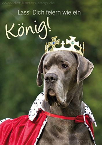 3 Stück Doppelkarte mit Kuvert, Karte, Grußkarte, Geburtstagskarte Dogge Hund mit Krone,"Lass Dich feiern wie ein König!" von Der-Karten-Shop.de