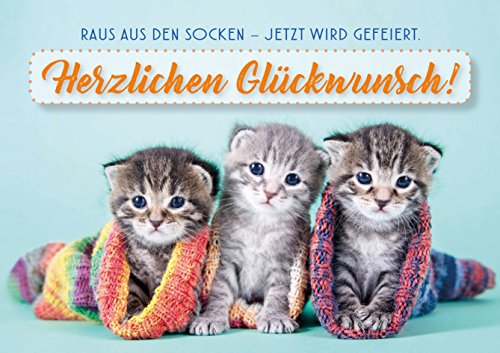 3 Stück Doppelkarte mit Kuvert, Karte, Grußkarte, Geburtstagskarte Katze, drei Kätzchen Raus aus den Socken – jetzt wird gefeiert! von Der-Karten-Shop.de