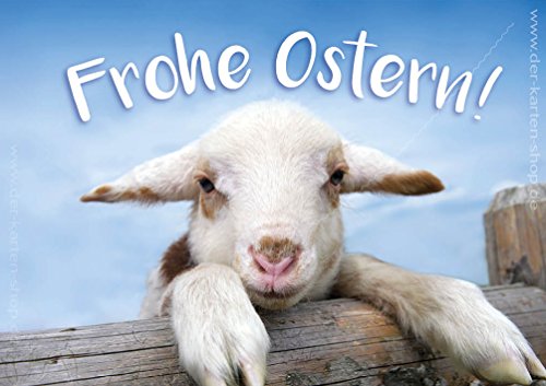 3 Stück Doppelkarte mit Kuvert, Karte, Grußkarte, Osterkarte mit Schaf, kleinem, süßem Lamm "Frohe Ostern" von Der-Karten-Shop.de