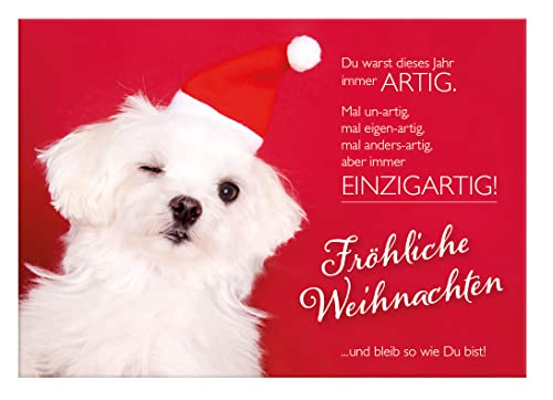 3 Stück Weihnachtskarten Doppelkarte mit Kuvert Fröhliche Weihnachten Weihnachtskarte Malteser Hund von Der-Karten-Shop.de