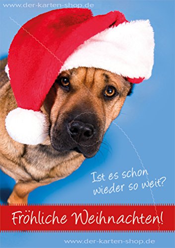 3 Stück Weihnachtskarten Doppelkarte mit Kuvert Karte Hund mit Falten "Ist es schon wieder so weit? Fröhliche Weihnachten!" von Der-Karten-Shop.de
