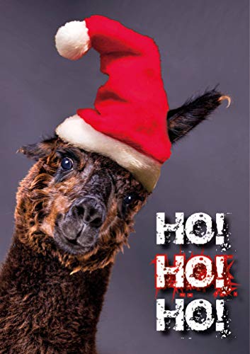 3 Stück Weihnachtskarten Weihnachten Doppelkarte mit Kuvert Karte Weihnachtskarte Alpaka mit Nikolausmütze Ho Ho Ho! von Der-Karten-Shop.de