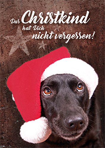 3 Stück Weihnachtskarten Doppelkarte mit Kuvert Karte Weihnachten Weihnachtskarte Hund Labrador "Das Christkind hat Dich nicht vergessen" von Der-Karten-Shop.de