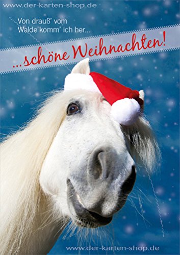 3 Stück Weihnachtskarten Doppelkarte mit Kuvert Karte weißes Pferd "Von drauß' vom Walde komm ich her... Schöne Weihnachten!" von Der-Karten-Shop.de
