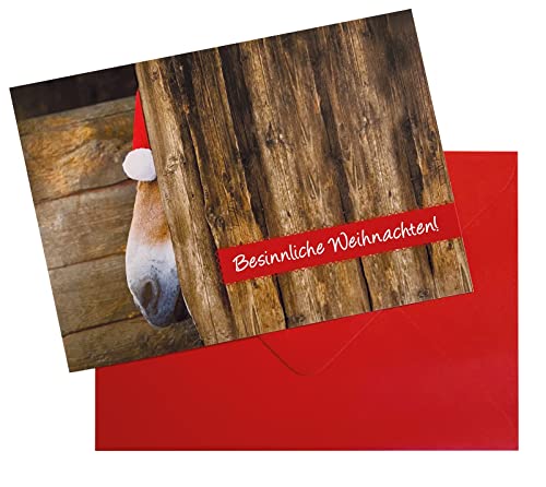 3 Stück Weihnachtskarten Doppelkarte mit Kuvert Weihnachten Weihnachtskarte Esel, Pferd Nikolausmütze "Besinnliche Weihnachten!" von Der-Karten-Shop.de