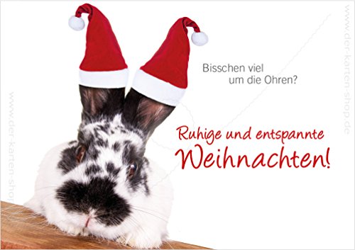 3 Stück Weihnachtskarten Doppelkarte mit Kuvert Weihnachten Weihnachtskarte Hase Kaninchen "Bisschen viel um die Ohren?" von Der-Karten-Shop.de
