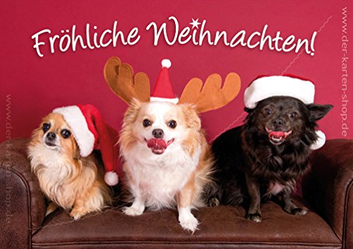 3 Stück Weihnachtskarten Doppelkarte mit Kuvert Weihnachten Weihnachtskarte Hund Chihuahua Hunde Tiere Tierpostkarte von Der-Karten-Shop.de