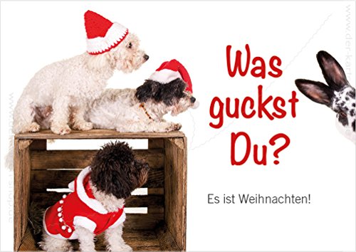 3 Stück Weihnachtskarten Doppelkarte mit Kuvert Weihnachten Weihnachtskarte Hund Hunde Hase Osterhase "Was guckst Du?" von Der-Karten-Shop.de