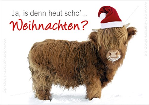3 Stück Weihnachtskarten Doppelkarte mit Kuvert Weihnachten Weihnachtskarte Kuh Rind Hochlandrind "Ja, is denn heut scho Weihnachten?" von Der-Karten-Shop.de
