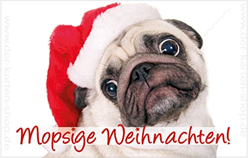 3 Stück kleine Weihnachtskarten, Klappkarten mit Kuvert, Geschenkanhänger 55 x 85 mm Hund, Mops "Mopsige Weihnachten!" von Der-Karten-Shop.de