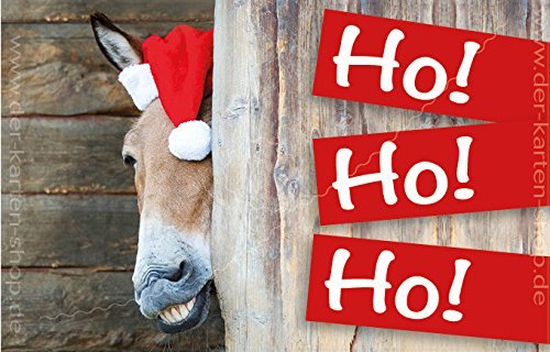 3 Stück kleine Weihnachtskarten, Klappkarten mit Kuvert, Geschenkanhänger 55 x 85 mm Pferd, Esel mit Nikolausmütze "Ho Ho Ho!" von Der-Karten-Shop.de