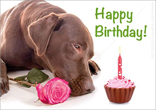 Doppelkarte mit Kuvert, Geburtstagskarte, Glückwunschkarte Labrador Hund mit Geburtstagskuchen "Happy Birthday" von Der-Karten-Shop.de