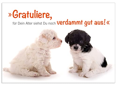 Doppelkarte mit Kuvert Tierpostkarte Postkarte Hund Glückwunschkarte Geburtstagskarte Hunde Welpen im 3er Set von Der-Karten-Shop.de
