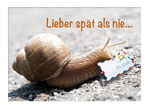 Doppelkarte mit Kuvert Tierpostkarte Postkarte Schnecke Glückwunschkarte Geburtstagskarte "Lieber spät als nie" im 3er Set von Der-Karten-Shop.de