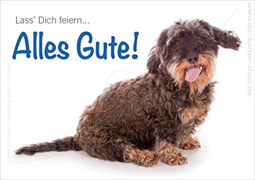 Lustige Doppelkarte mit Kuvert, Karte, Grußkarte, Geburtstagskarte mit Hund Dackel "Lass dich feiern, Alles Gute", im 3er Set von Der-Karten-Shop.de