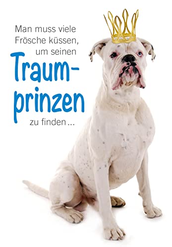 Witzige Doppelkarte, Grußkarte, Glückwunschkarte, Klappkarte mit Kuvert, Postkarte Hund weißer Boxer mit Krone "Traumprinz" im 3er Set von Der-Karten-Shop.de