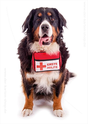 Witzige Doppelkarte, Karte, Hunde-Grußkarte mit Kuvert "Erste Hilfe" mit Berner Sennenhund von Der-Karten-Shop.de