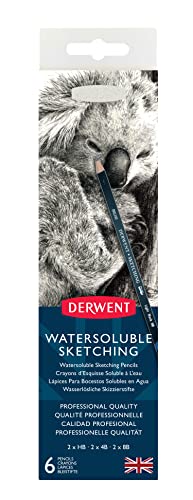 Derwent Wasserlösliche Zeichenstifte, Zeichnen & Schreiben, 6er-Set, Inkl. 3 Härtegrade (HB, 4B, 8B) & Spitzer, Ideal zum Skizzieren, Professionelle Qualität, 0700837 von Derwent