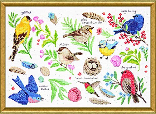 Design Works Crafts Kreuzstich Stickpackung Vogelkunde, Zählmuster von Design Works Crafts