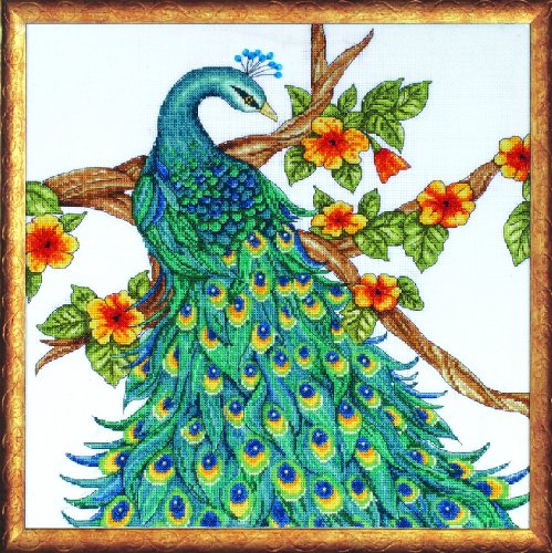 Peacock Counted Cross Stitch Kit-14"X14" 14 Count von Tobin