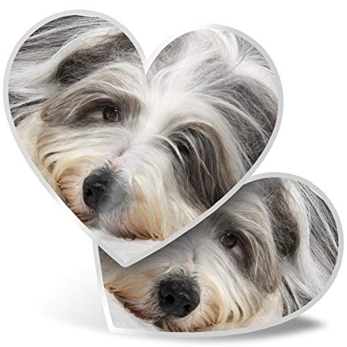 2 x Herz-Aufkleber 7,5 cm – Bärtiger Collie Hund Welpe Lustige Aufkleber für Laptops, Tablets, Gepäck, Scrapbooking, Kühlschrank, #21197 2 x Herz-Aufkleber 7,5 cm – Bärtiger Collie Hund Welpe Lustige Aufkleber für Laptops, Tablets, Gepäck, Scrapbooking, Kühlschrank, #21197 von Destination Vinyl Ltd