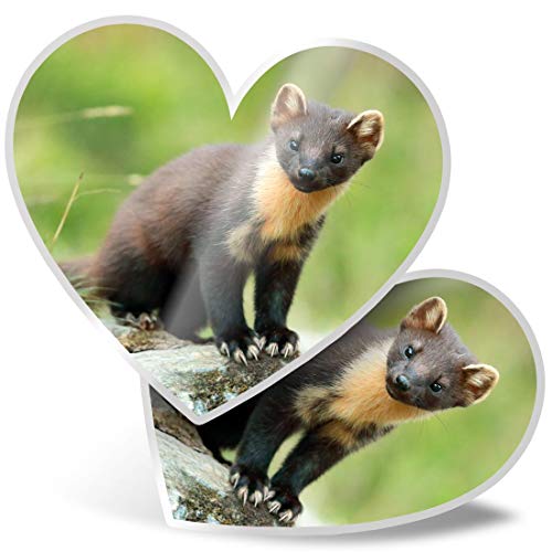 2 x Herz-Aufkleber 7,5 cm – Pinienmarder, Schottland, Wildtiere, lustige Aufkleber für Laptops, Tablets, Gepäck, Scrapbooking, Kühlschränke, 46042 2 x Herz-Aufkleber 7,5 cm – Pinienmarder, Schottland, Wildtiere, lustige Aufkleber für Laptops, Tablets, Gepäck, Scrapbooking, Kühlschränke, 46042 von Destination Vinyl Ltd