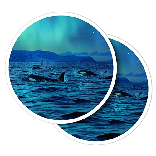 Vinyl-Aufkleber, rund, 10 cm, Orca-Killerwale, Nordlichter, Ozean, für Laptops, Tablets, Gepäck, Sammelalben, Kühlschränke #53115, 2 Stück Vinyl-Aufkleber, rund, 10 cm, Orca-Killerwale, Nordlichter, Ozean, für Laptops, Tablets, Gepäck, Sammelalben, Kühlschränke #53115, 2 Stück von Destination Vinyl Ltd