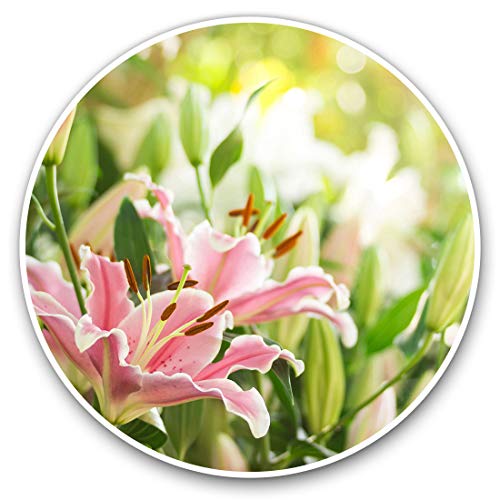 Vinyl-Aufkleber (2 Stück) 10 cm – hübsche rosa Lilien Blumen Lilien Aufkleber für Laptops, Tablets, Gepäck, Scrapbooking, Kühlschränke, 24015 von Destination Vinyl Ltd