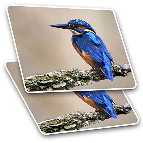 Rechteckige Aufkleber (Set mit 2 Stück) 10 cm – wilder blauer Eisvogel-Vogel, lustiger Aufkleber für Laptops, Tablets, Gepäck, Scrapbooking, Kühlschränke, 15795 von Destination Vinyl ltd