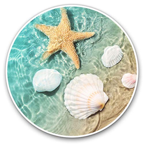 Vinyl-Aufkleber, 10 cm, Muschel, Seestern, Strand, Ozean, Muscheln, Aufkleber für Laptops, Tablets, Gepäck, Scrapbooking, Kühlschränke, 16972 Vinyl-Aufkleber, 10 cm, Muschel, Seestern, Strand, Ozean, Muscheln, Aufkleber für Laptops, Tablets, Gepäck, Scrapbooking, Kühlschränke, 16972 von Destination Vinyl ltd